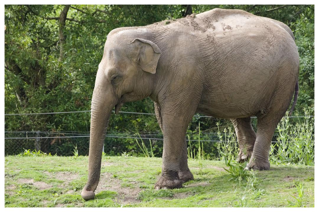 Blackpool Zoo